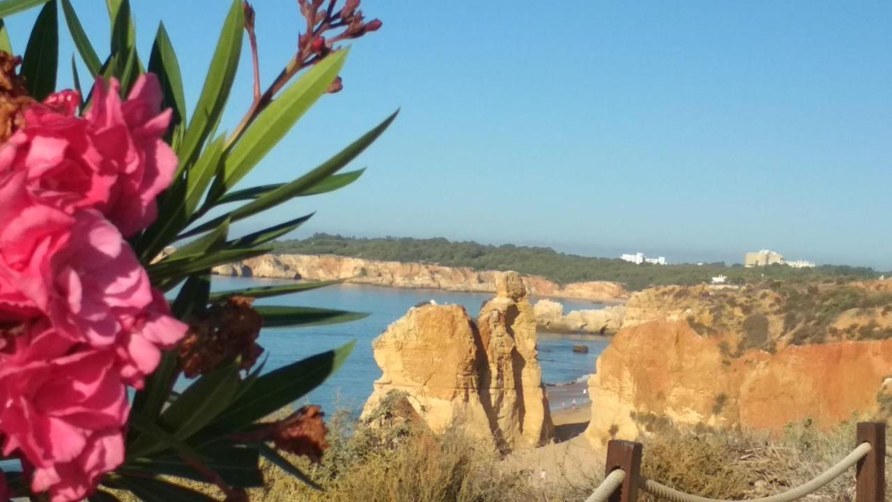 Albur Village B - Hyacinth Alvor Εξωτερικό φωτογραφία